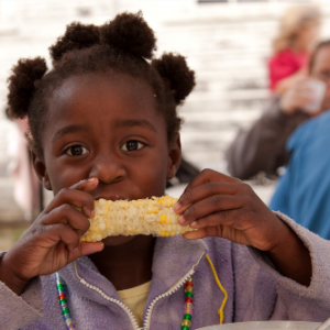 ph-healthy-food-systems-4 ph-healthy-food-systems-4