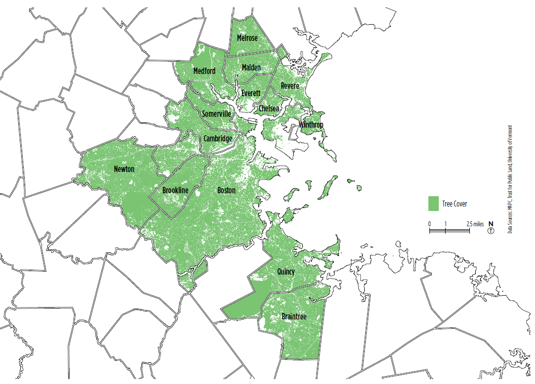 Map showing tree coverage in Boston, Braintree, Brookline, Cambridge, Chelsea, Everett, Malden, Medford, Melrose, Newton, Quincy, Revere, Somerville, and Winthrop. While some cities, towns, and neighborhoods have extensive canopy, others have very little. 