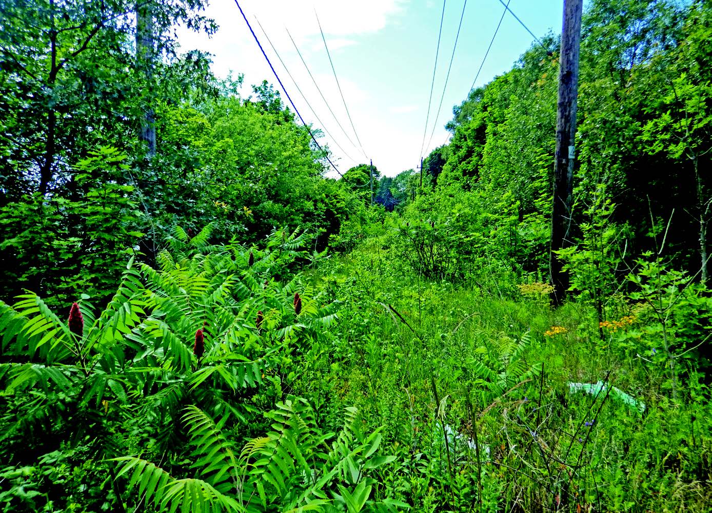 Swampscott Rail Trail