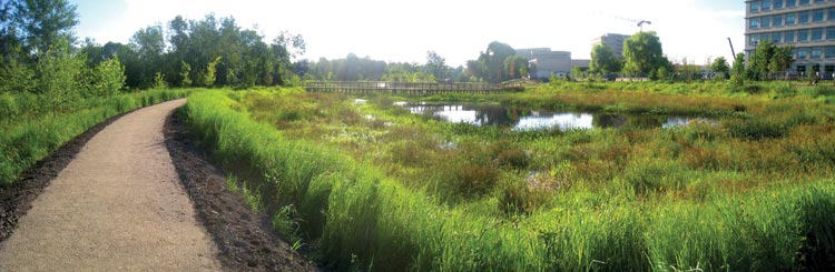 Aelwife_Stormwater-Wetland-Main-Basin-Summer-2013 Aelwife_Stormwater-Wetland-Main-Basin-Summer-2013