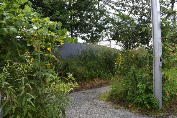 Trees and flowers at PORT Park in Chelsea