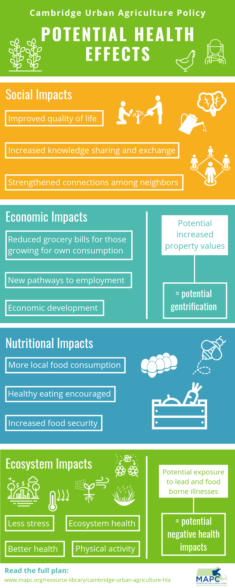Infographic summarizing the potential health effects of the Cambridge Urban Agriculture policy