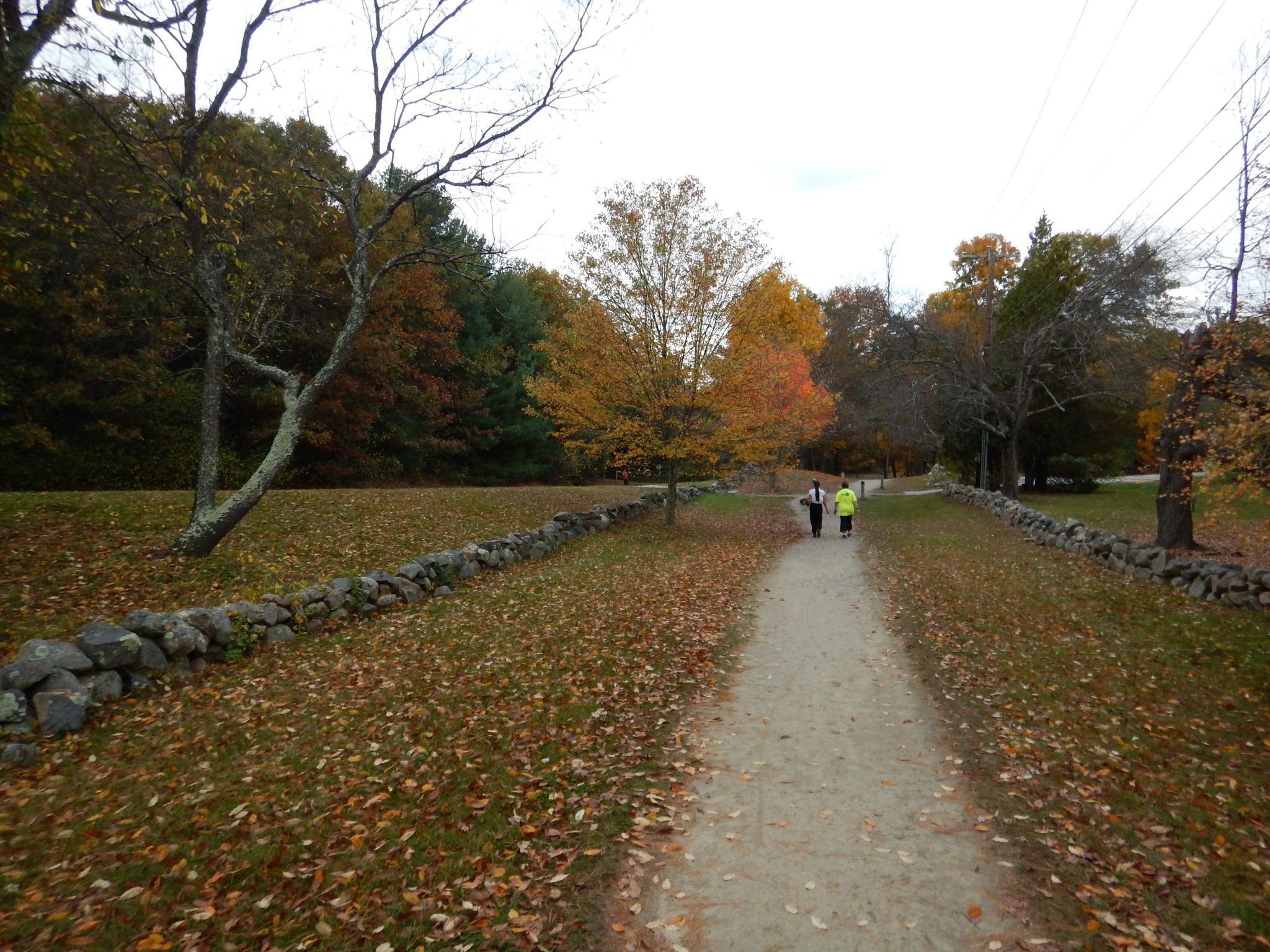 Battle road
