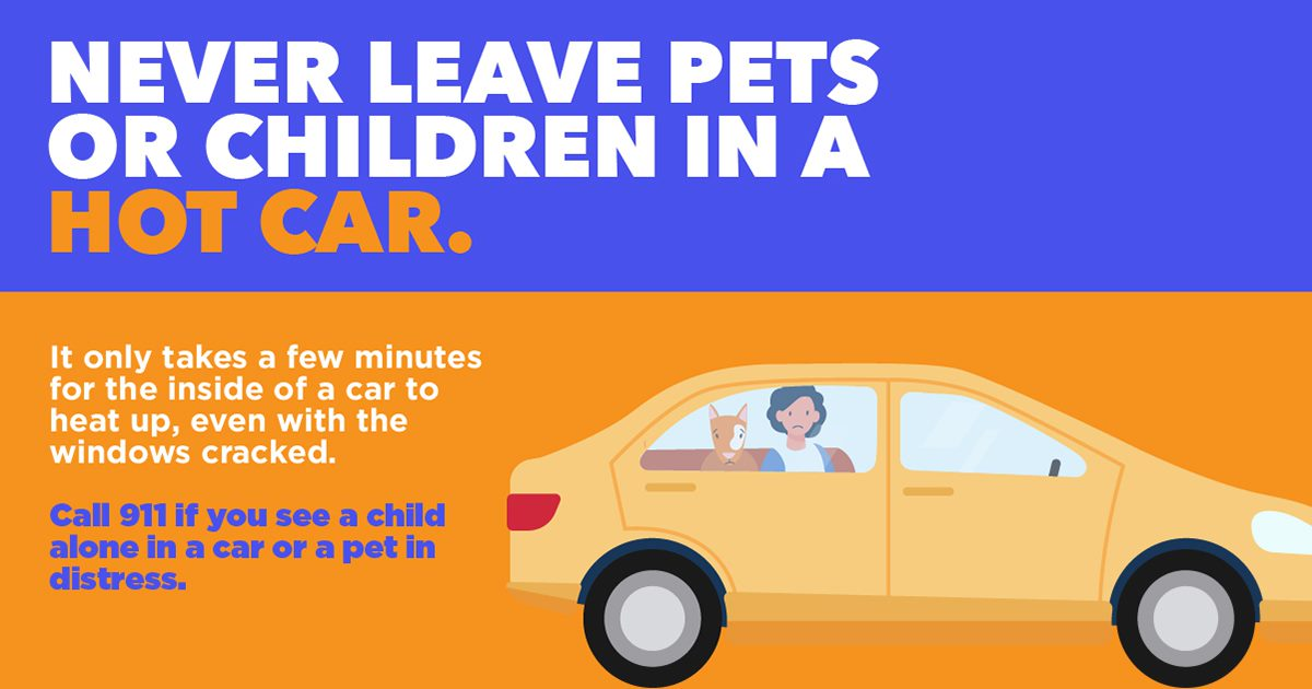 5 Alt text: graphic with blue top and orange bottom background. Blue top has text: “never leave pets or children in a hot car.” Orange bottom has text on lefthand side: “It only takes a few minutes for the inside of a car to heat up, even with the windows cracked. Call 911 if you see a child alone in a car or a pet in distress.” On the right-hand side of text is an image of a yellow car with a child and a dog inside.