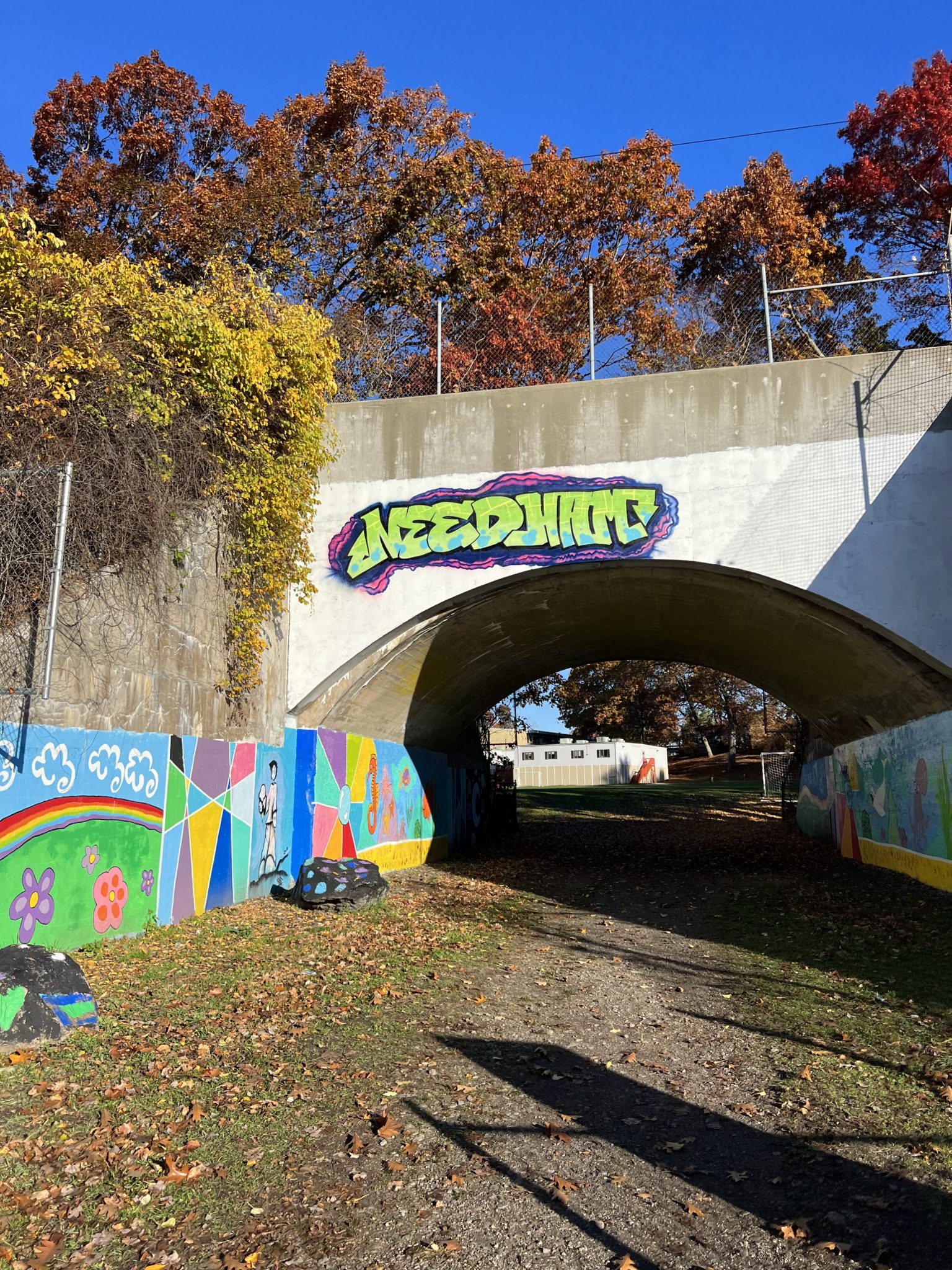 Needham - Image for Project Website Image is of a dirt path going under a bridge. On the left and right sides of the path is grass with fallen leaves scattered and then on the walls abstract painted art. On the side of the bridge it says NEEDHAM in paint. There are trees in the upper portions of the image.