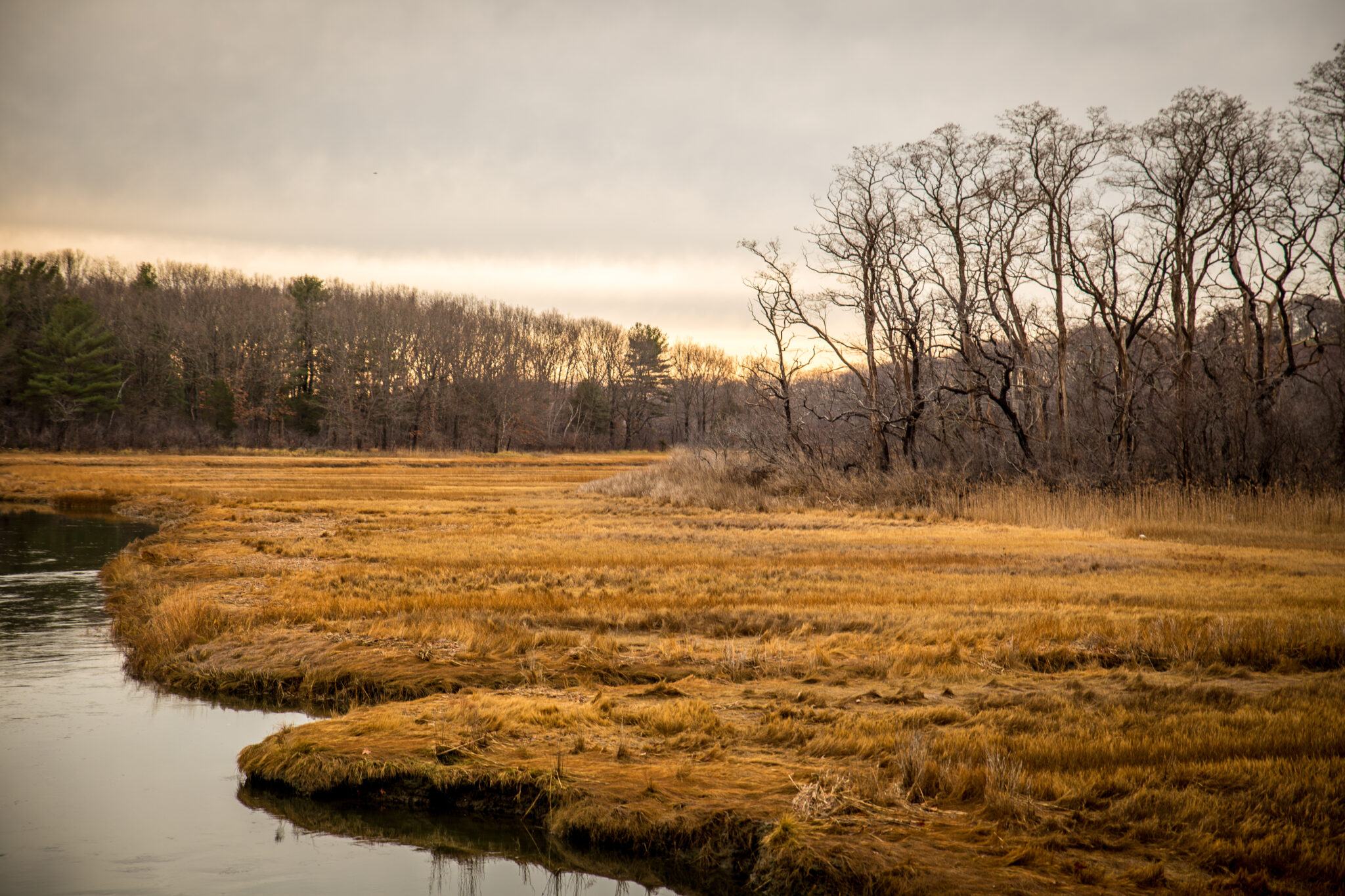 Ipswich River in the Winter, photo includes the dead grassy bank, and trees in the background minus leaves.