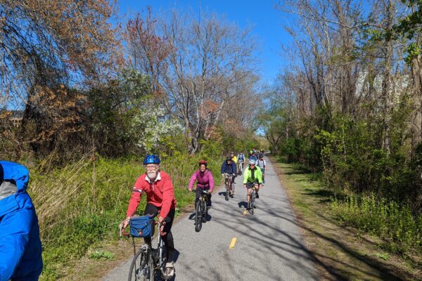 Many people riding bicycles on a concrete road with grass and trees on the sides of the road. It's the Mass Central Rail Trail.