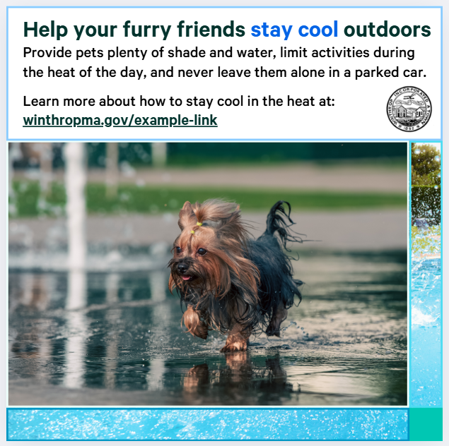 A photo of a small dog running through a puddle of water. Text says, "Help your furry friends stay cool outdoors. Provide pets plenty of shade and water, limit activities during the heat of the day, and never leave them alone in a parked car. Learn more about how to stay cool in the heat at: winthropma.gov/example-link