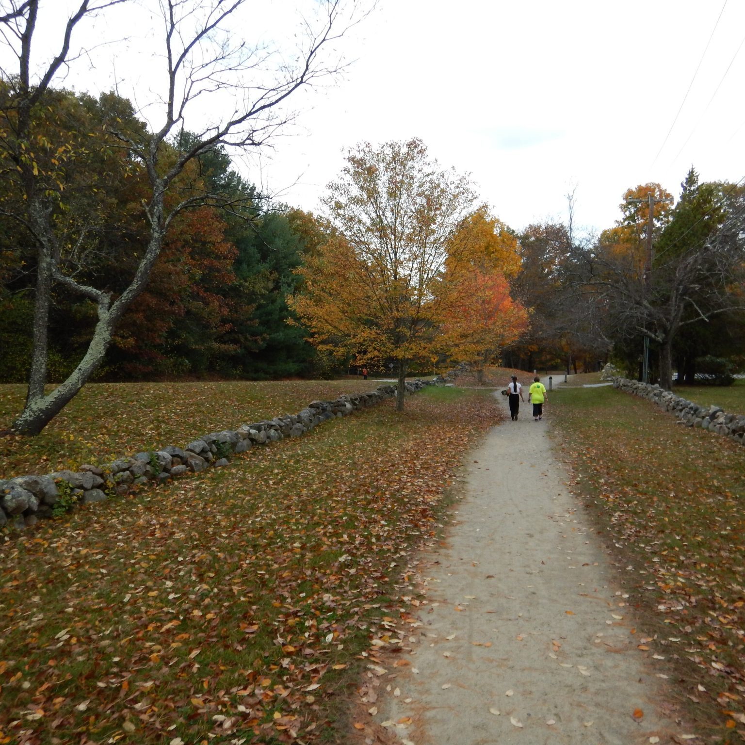 Battle road