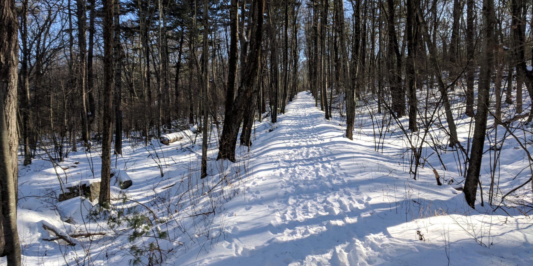 IMG_20180103_115227 IMG_20180103_115227