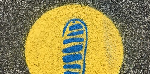 Image shows sidewalk art of a blue painted shoe print, with "Sole of Rockland" written above.